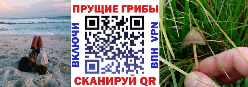 Галлюциногенные грибы мухоморы  цены   площадка телеграм  Наволоки 